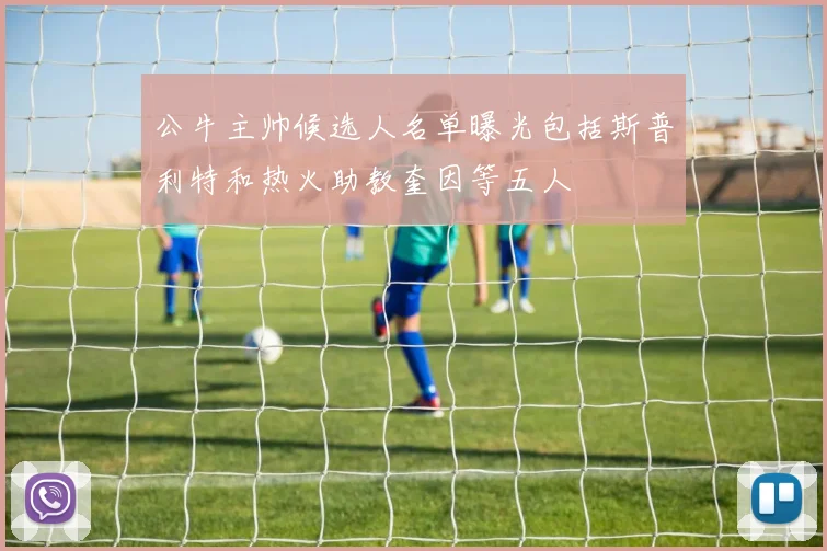 公牛主帅候选人名单曝光包括斯普利特和热火助教奎因等五人